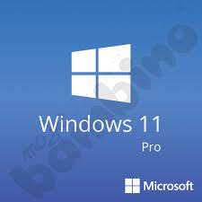 Microsoft Windows 11 Pro Brand New Professional Retail -100% genuine Key FAST!!!